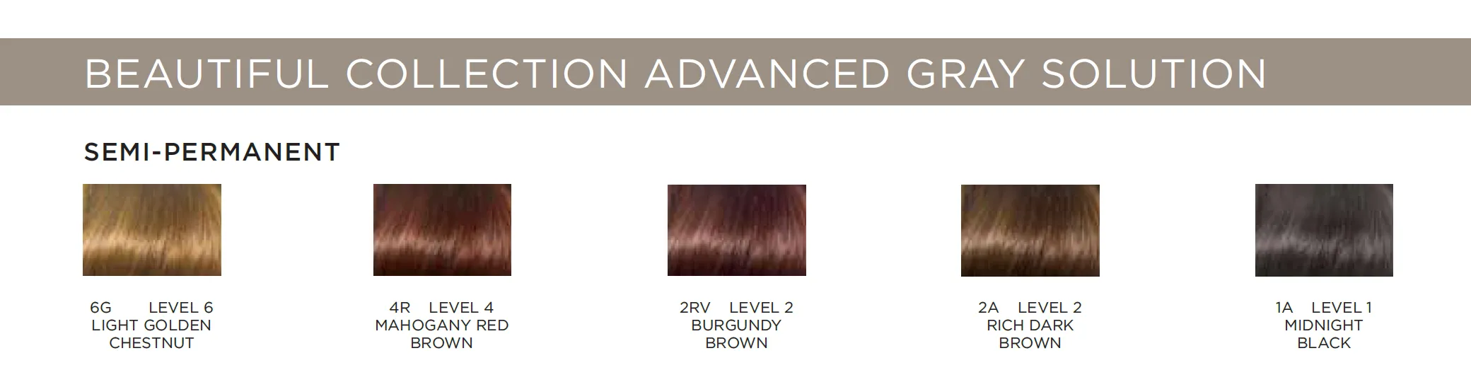 Clairol Professional Beautiful Collection Advanced Gray Solutions Semi Permanent Hair Color