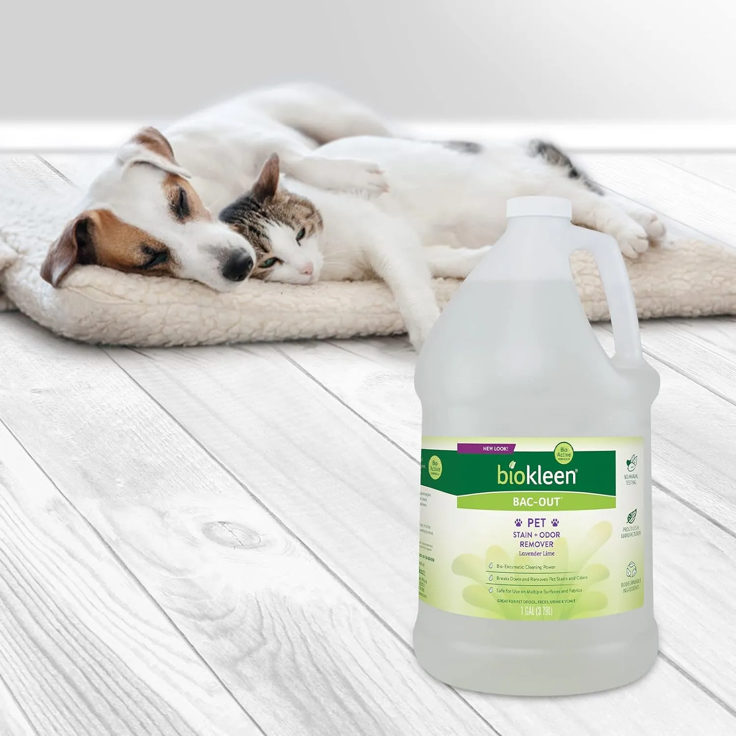 Eco-Friendly Pet Stain Remover, 1 Gallon, Enzymatic, Natural, Destroys Stains & Odors Safely, for Pet Stains on Carpets - Plant-Based