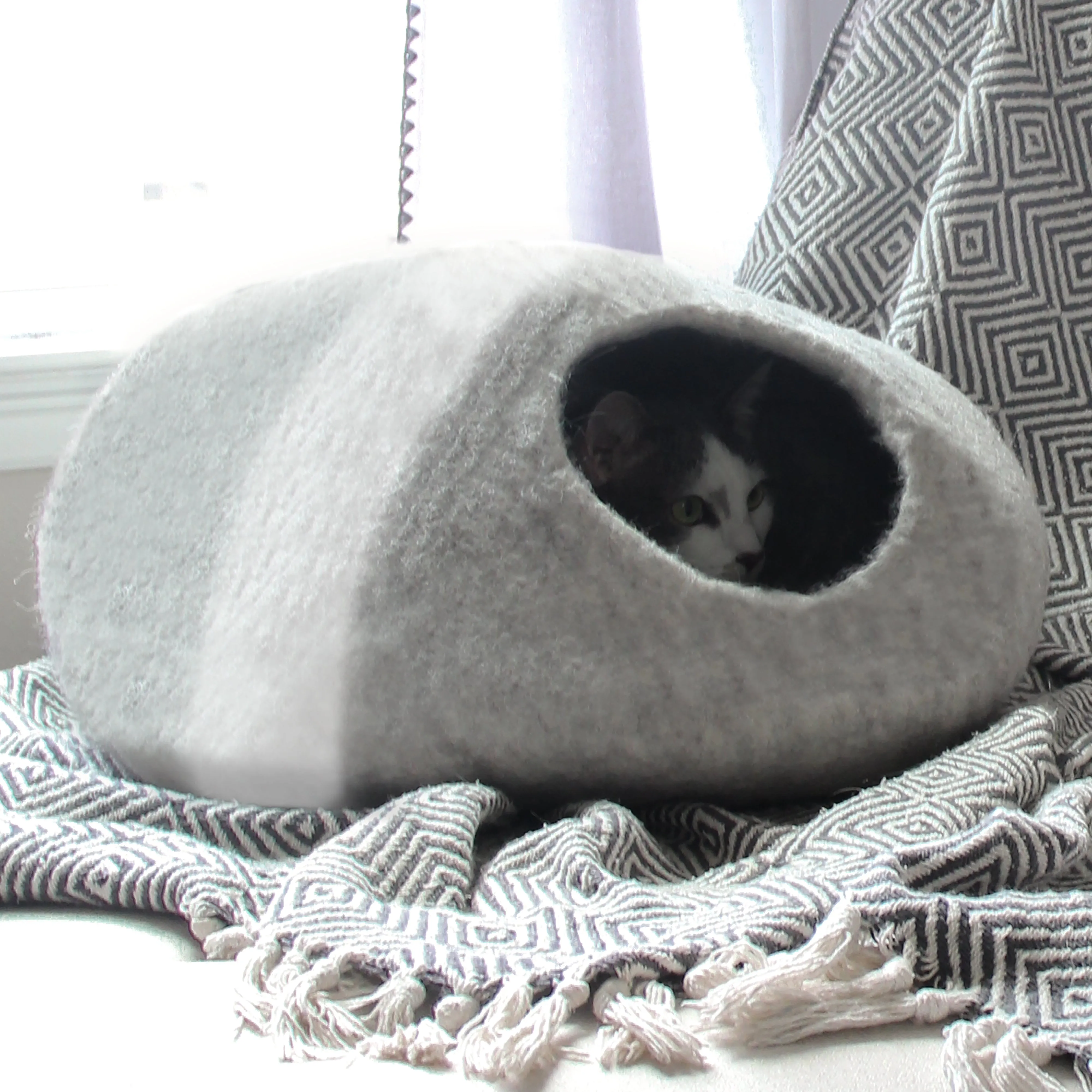 Horizon Cat Cave