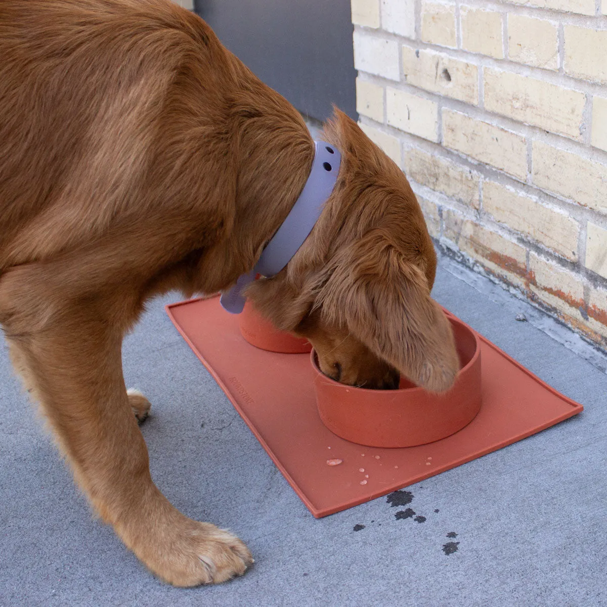 Silicone Pet Feeding Mat / Pet Placemat, Pink, Food Grade Silicone, Dishwasher Safe, Floor Protection From Spills, Dog/Cat